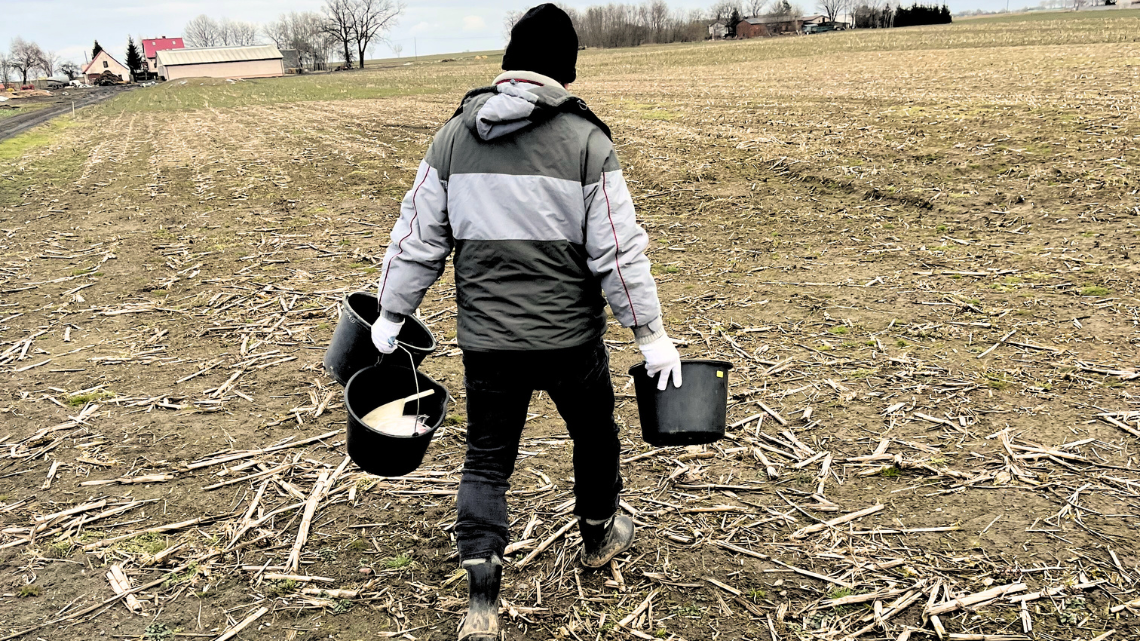 Pobranie prób glebowych